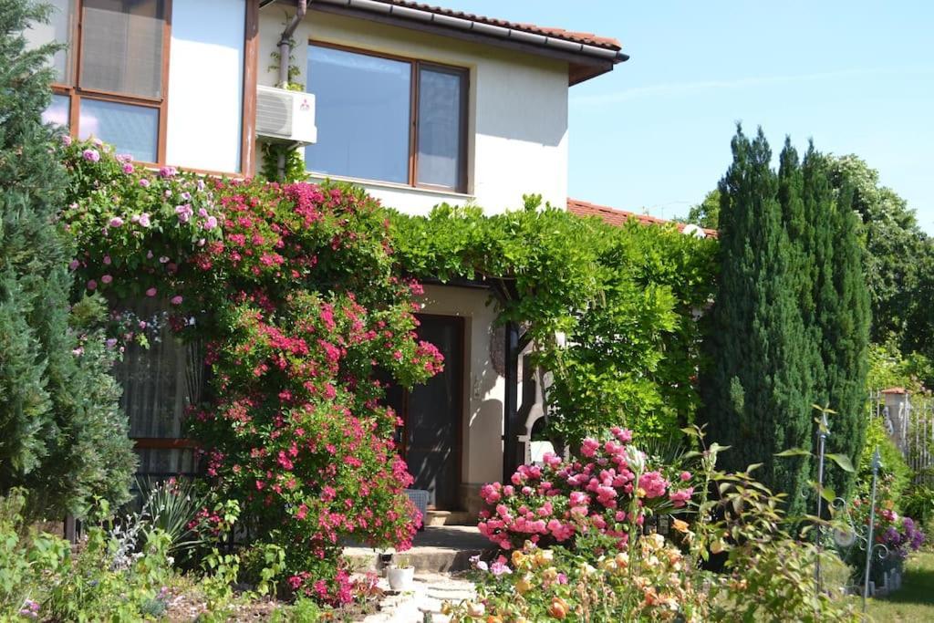 Sea & Garden Villa Varna Exterior foto