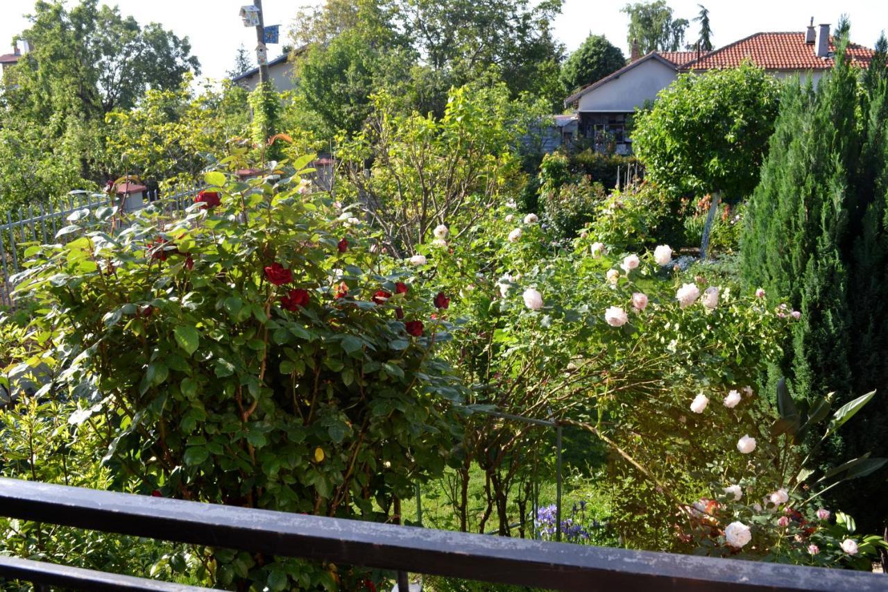 Sea & Garden Villa Varna Exterior foto
